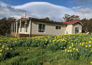 Mountain Blue Guest House