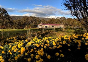 Mountain Blue Guest House