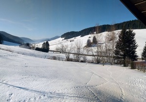 Mountain chalet in Autrans-Méaudre