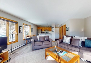 Mountain-view condo with great balcony & grill - bus to slopes