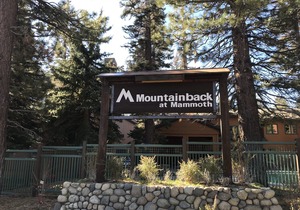 Mountainback #41, Loft
