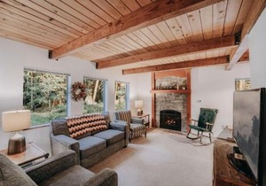 Mt Baker Lodging - Cabin 67 - Private 2-story cabin with a private hot tub