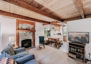 Mt Baker Lodging - Cabin 67 - Private 2-story cabin with a private hot tub
