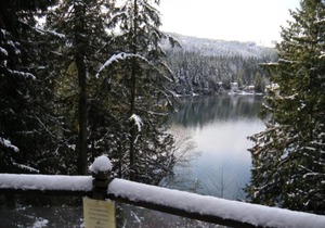 Mt. Baker Lodging – Cabin #7