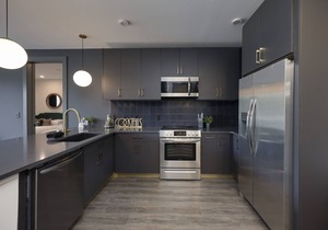MUSE 1000 sqft Private Deck! Rooftop+Gym, Grill, Elevator, Free St Pk, Walk 2 DT
