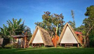 N'jung Bali Camp