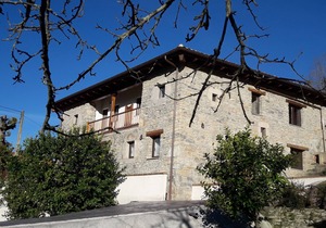 Nature and tranquility 2