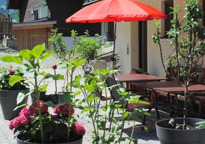 Naturhaus Andrea with special hiking experiences Holiday apartments