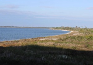 Navy Cove 2114 Condo