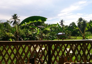New Bamboo Chalets. Private rooms at hostel prices. Close to beach and town.
