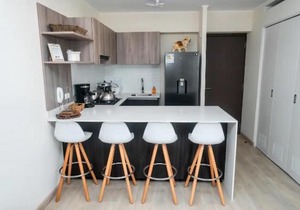 NEW Department FULL EQUIP in Barranco with Pool 16