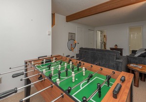 New! Villages of Wisp #14: Lake Access, Ski In/Ski Out, Dogs Welcome!