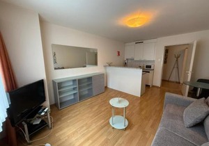 Nice 1BR flat in the city center - Crown 3
