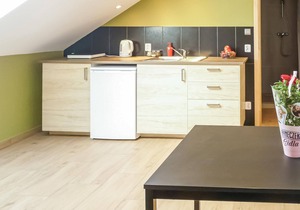 Nice studio in Borcz with kitchen