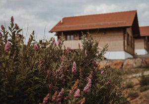 Oberwald Chalets Ferienhaus 3