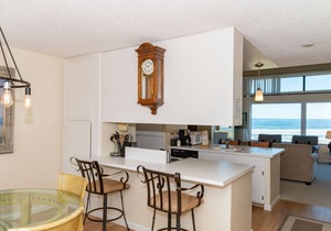 Ocean Front Condo Shorebirds 199