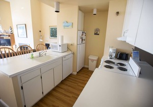 Ocean Front Condo Shorebirds 196