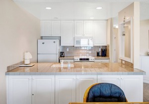 Ocean Front Condo Shorebirds 51