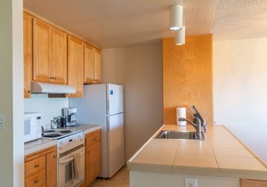 Ocean Front Condo Shorebirds 71