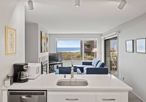 Ocean Front Condo Shorebirds 55