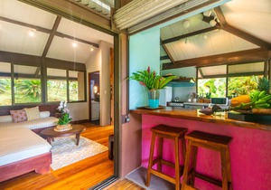 Ocean view luxury property with pool in the jungle at 10 min walk to the beach.