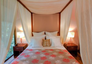 Ocean view luxury property with pool in the jungle at 300 m from the beach.