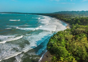 Ocean view luxury property with pool in the jungle at 300 m from the beach.