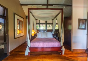 Ocean view luxury property with pool in the jungle at 300 m from the beach.