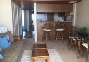 Oceanfront Hawaiian Princess 1002 n1990/NUC-2258