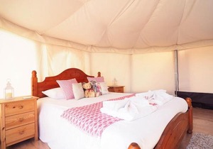 Old Dairy Farm Glamping