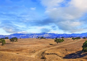 Old World Charm, Modern American Comforts!