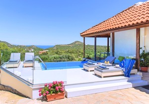 Olive Green Villa With Private Heated Pool
