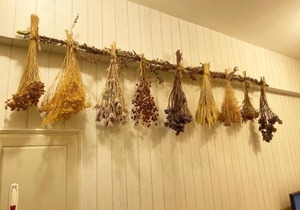 One Night Inn Fengjia