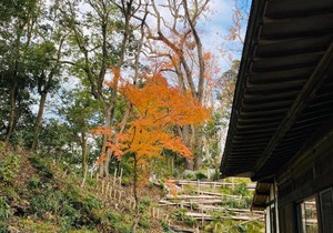 One Night, One View, Lifelong Marriage, Yotsukaido - Vacation STAY 12738