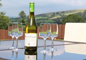 Onnen Fawr Barn - Four Bedroom House, Sleeps 11