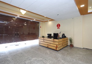 OYO 10603 Hotel Mahima Palace