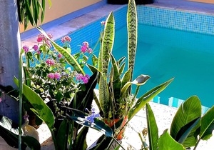 Pallazzetto, in Birgu/Vittoriosa, rooftop pool with views of sea and Valletta