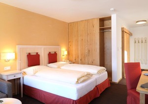 Panorama room half board - Hotel Bräu***