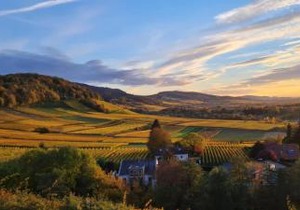Paradies 2 Castellberg-Jakobsweg