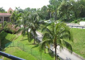 Paradise Lagoon Apartment