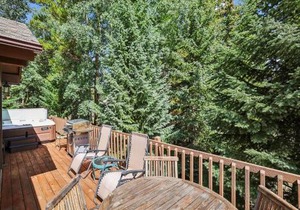 Park Forest 227 townhouse
