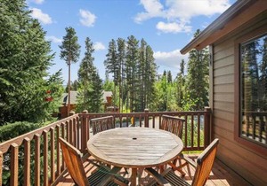 Park Forest 227 townhouse