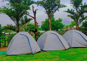 Pawna Lake Camping for Family Couple and groups