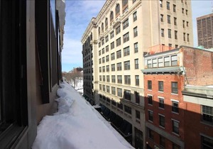 Peaceful Retreat In Boston Near T, Easy Commuting!