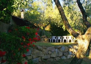 Poggio alla Baghera Villa Sleeps 2 Pool T765019