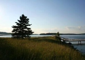 Point Field Cottage - A delightful little cape