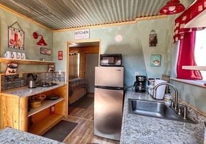 Prairie Flax Cabin 3 - 2 bedrooms in Creede, Colorado