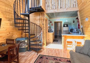 Prairie Flax Cabin 3 - 2 bedrooms in Creede, Colorado