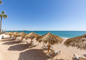 *PremierHost* Sonoran Sea E-805 Barefoot @ Sea Retreat Stunning Oceanfront Condo