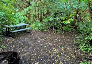 Primitive Tent Site in Enchanted Rain Forest - Site #1